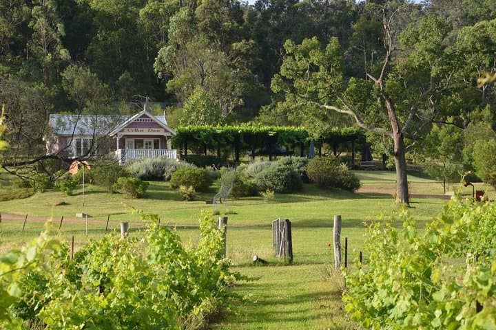 Gallery image 5