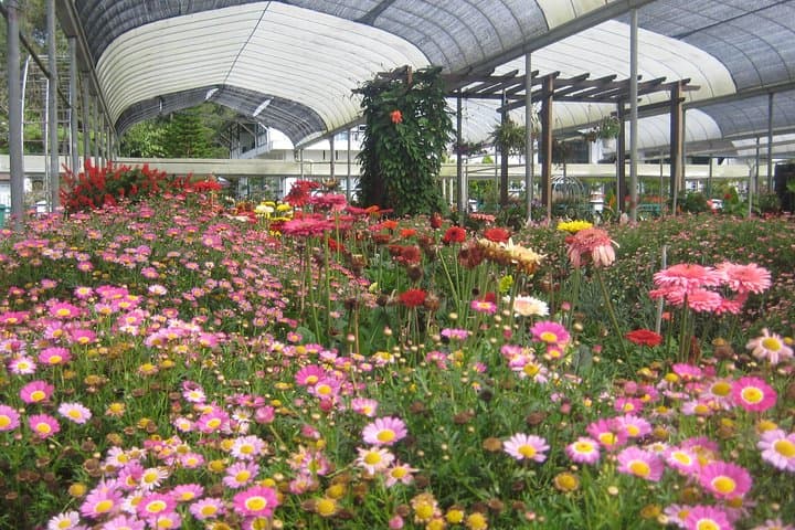 Gallery image 3