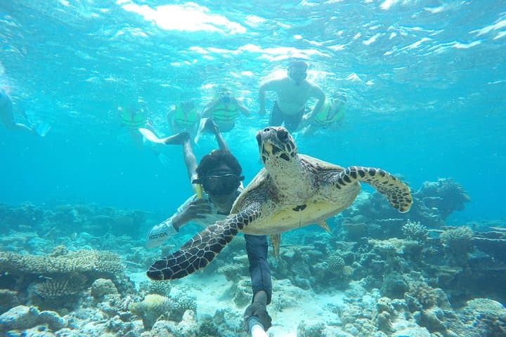 الغطس في Sandbank ورحلة بحرية عند غروب الشمس