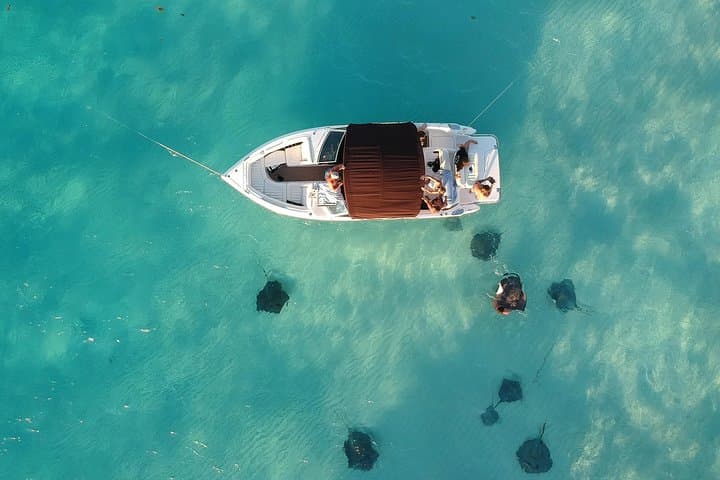 مواثيق خاصة وفاخرة ومخصصة لمدينة Stingray وSnorkeling والمزيد