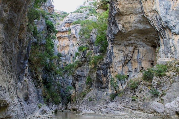 Gallery image 5