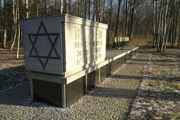 Gallery image 5