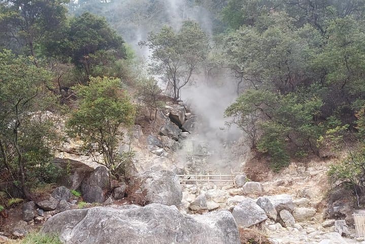 Gallery image 3