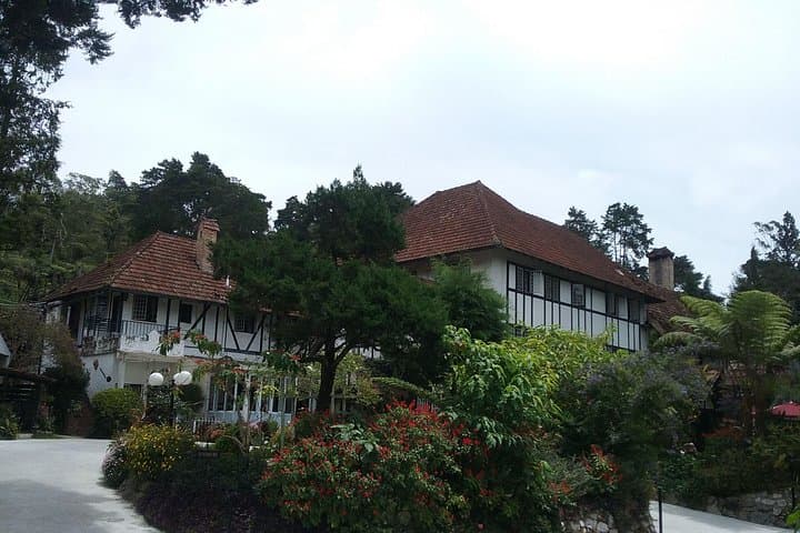Gallery image 5