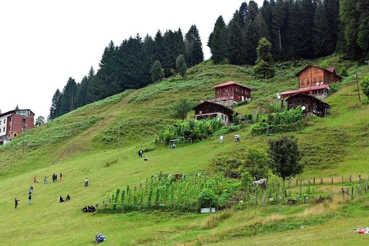 Gallery image 2