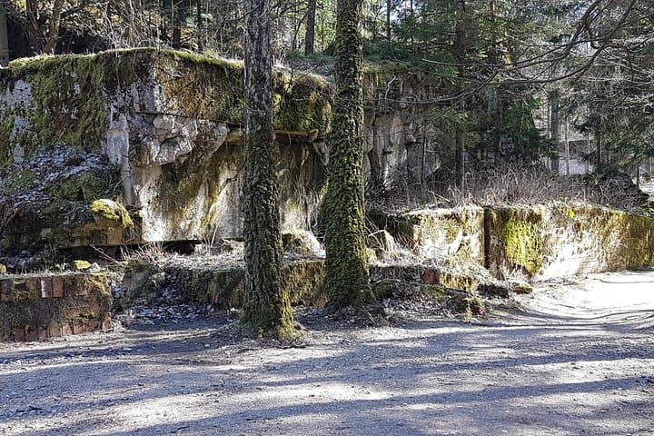 Gallery image 4