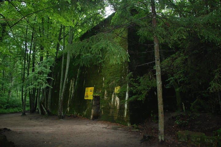 Gallery image 5