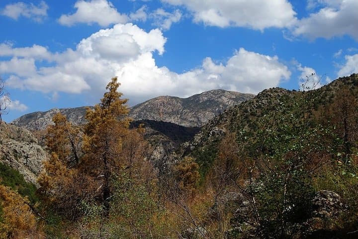 Gallery image 2