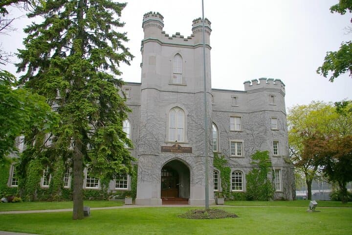 Gallery image 5