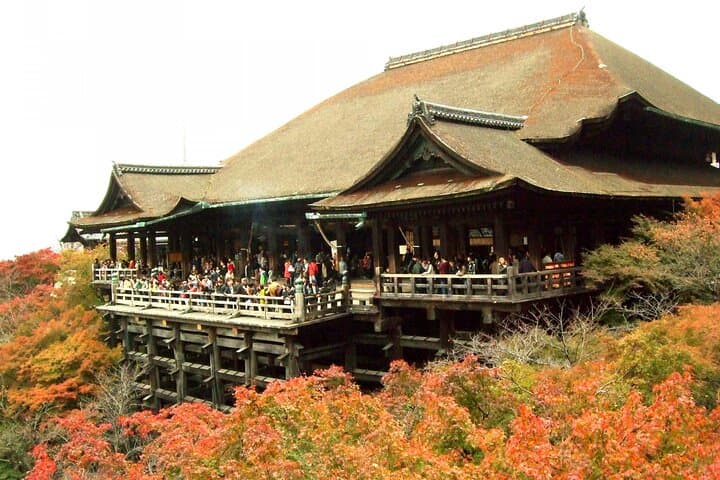 Gallery image 4