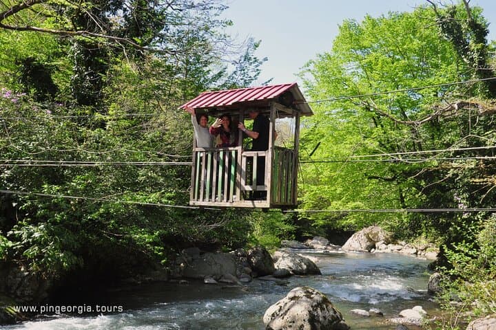 Gallery image 5