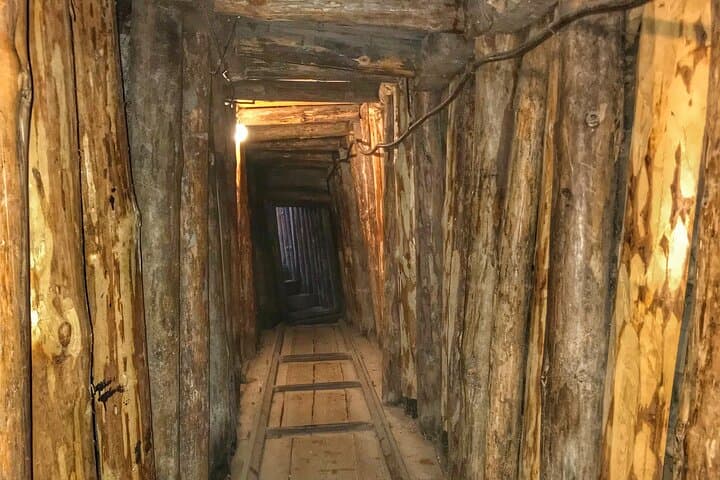 Gallery image 5