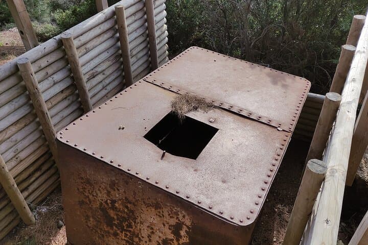 Gallery image 5