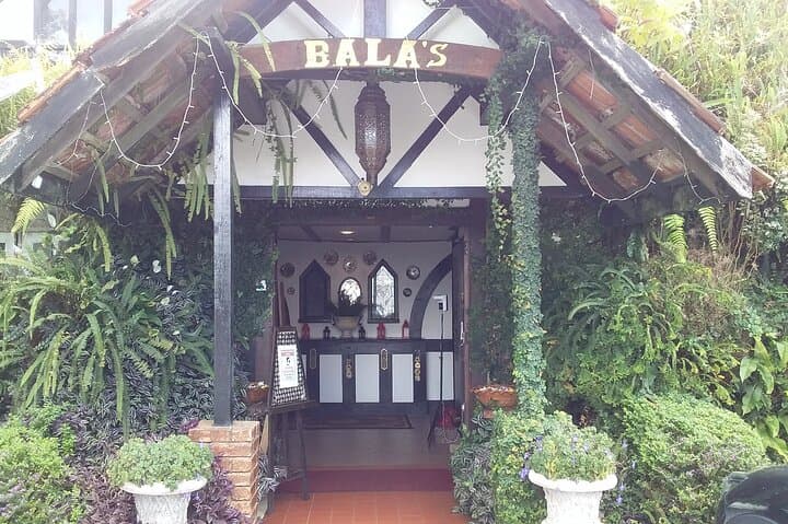Gallery image 3