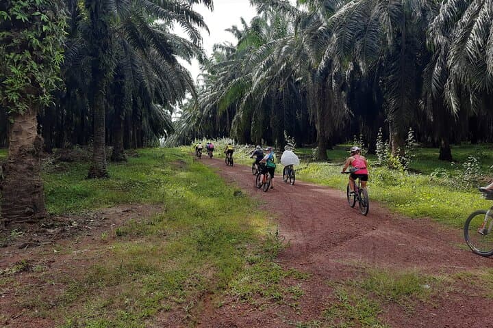 Quiet and serene, Palm Oil Estate and its two-edged story.