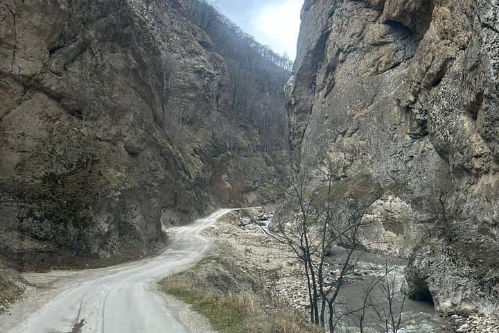 Gallery image 4