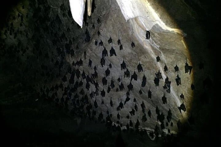 Gallery image 4