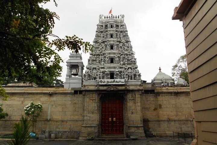 Gallery image 4