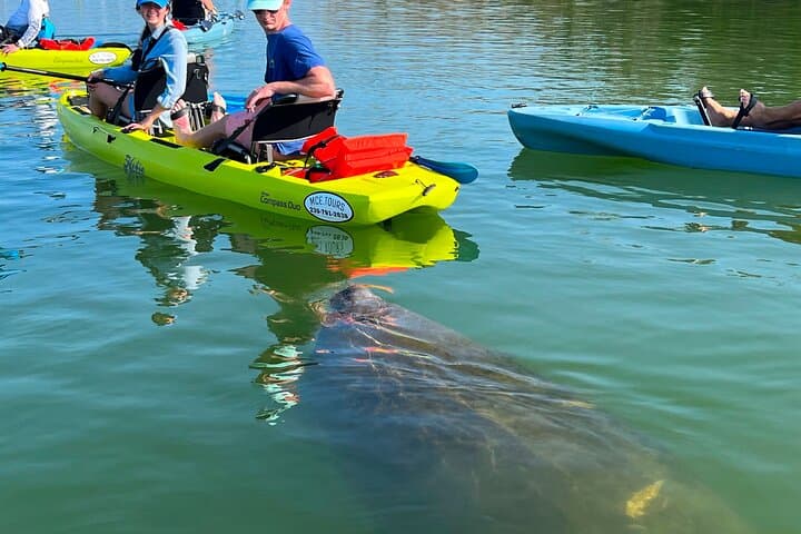 جولة Hobie Kayak EcoTour الإرشادية: تجربة بيئية متميزة في بونيتا سبرينجز
