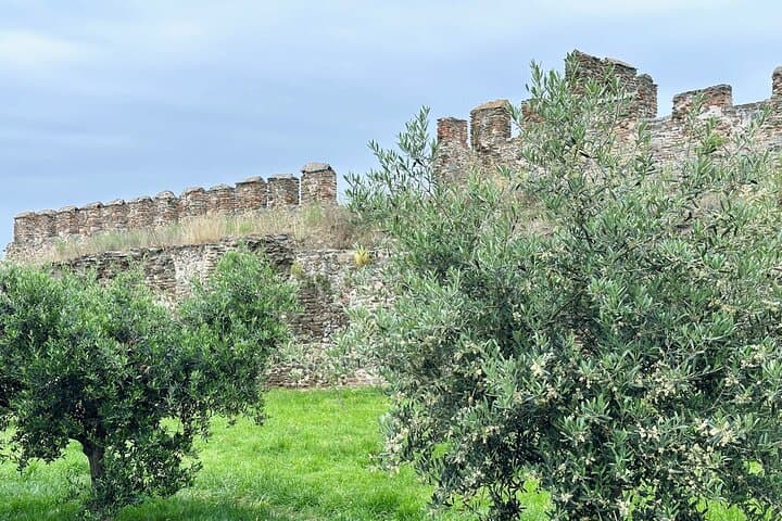 Gallery image 3