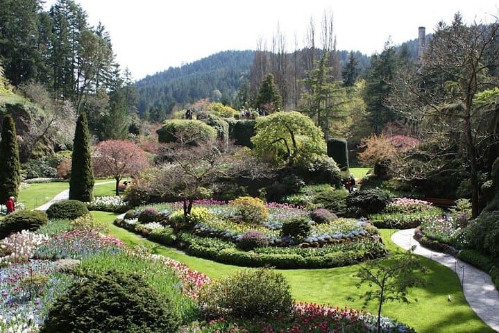 Gallery image 5