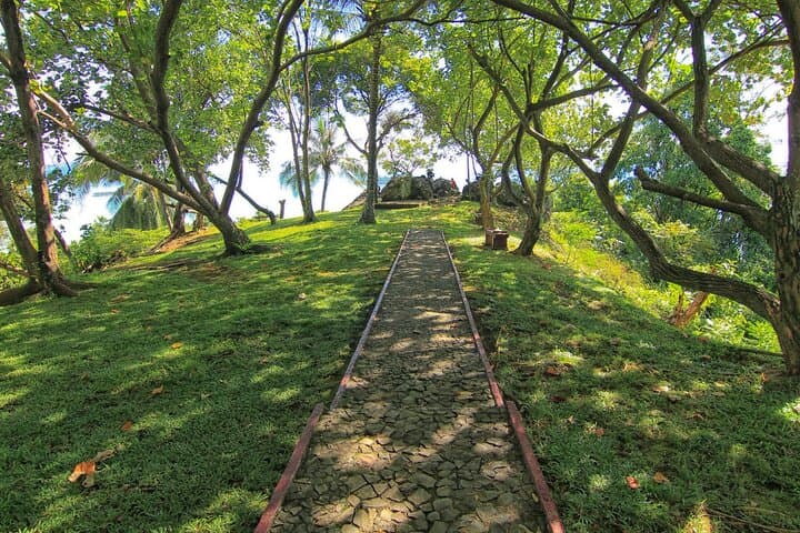Gallery image 4