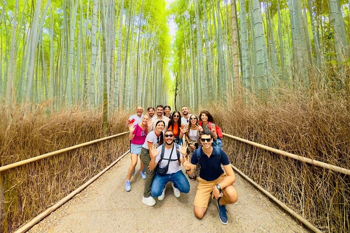 Bamboo Forest Kyoto Arashiyama