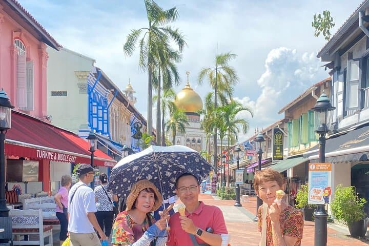 Singapore city tour