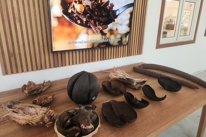 Gallery image 5