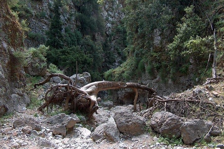 Gallery image 4