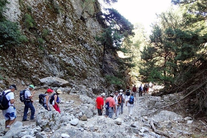 Gallery image 2