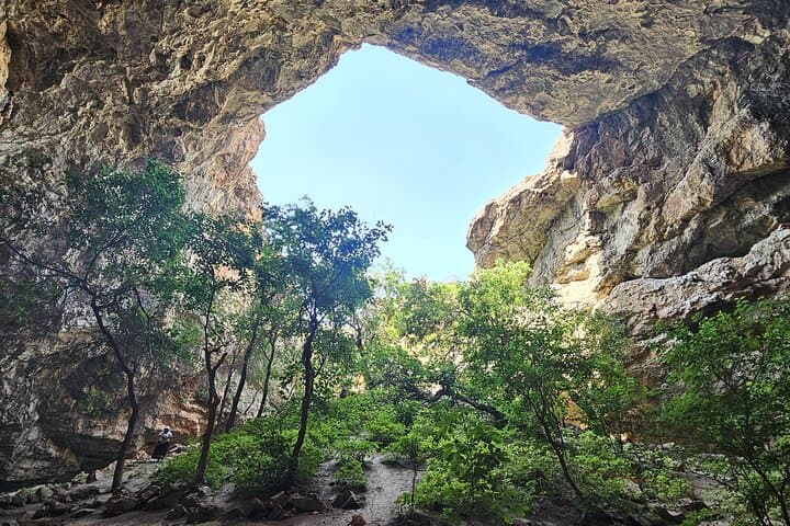 Gallery image 5