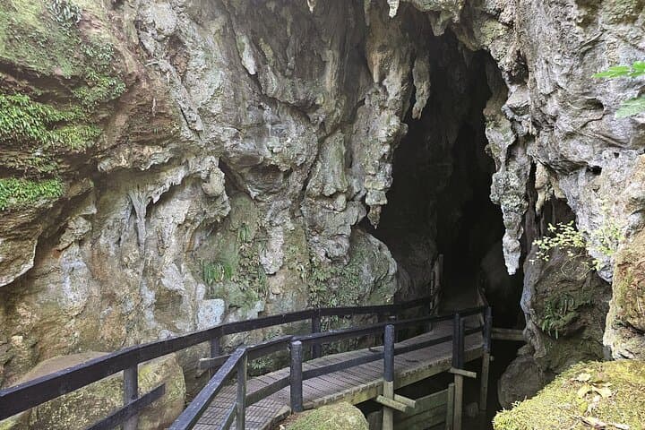 Gallery image 4
