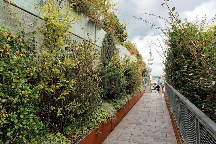 Gallery image 5