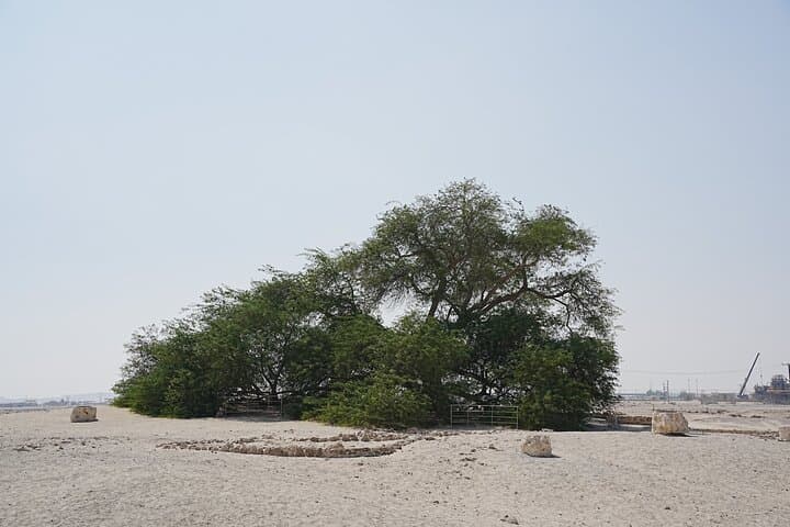 Gallery image 2